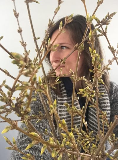 How to force bloom forsythia